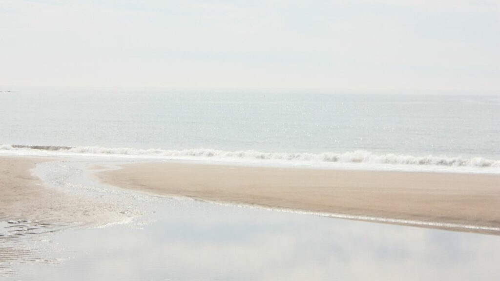 Rustig natuurbeeld