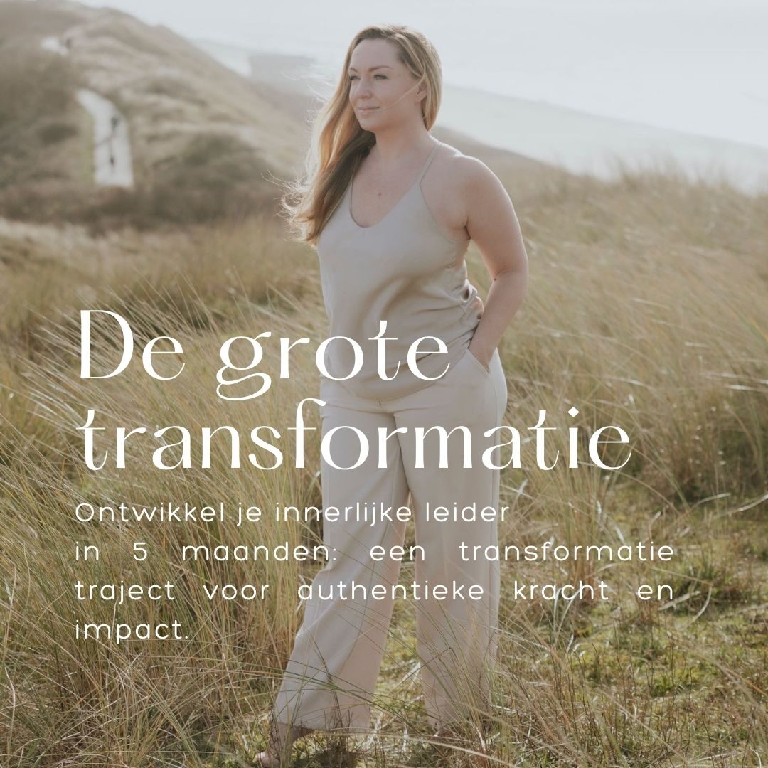 De grote transformatie