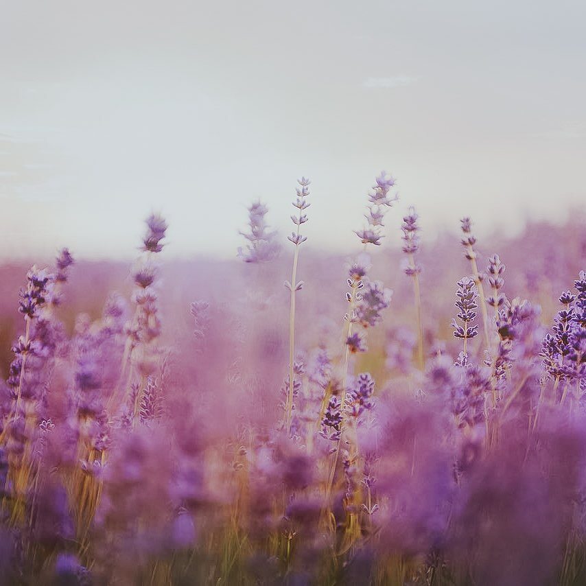 Annelotte Scholten Coaching Zwolle