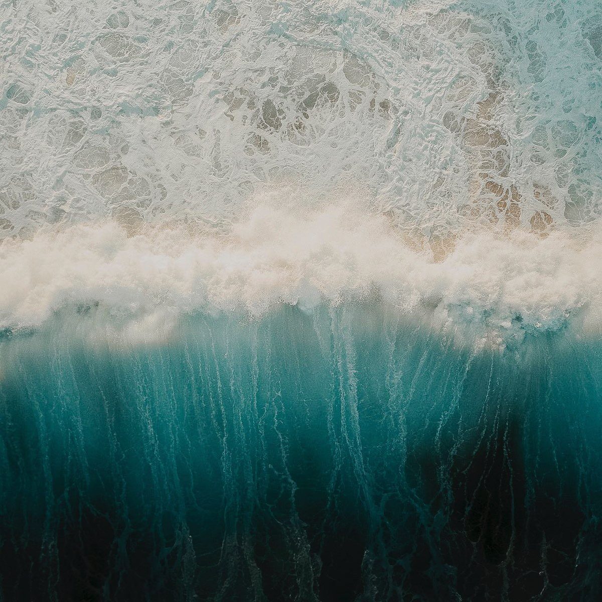 Annelotte Scholten Coaching Zwolle